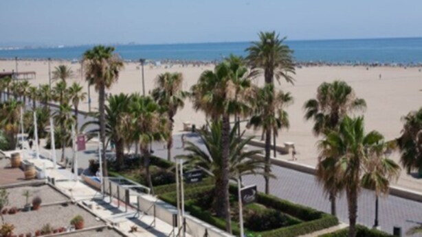 A beach with palm trees and a promenade. - Hotel Sol Playa (Valencia)