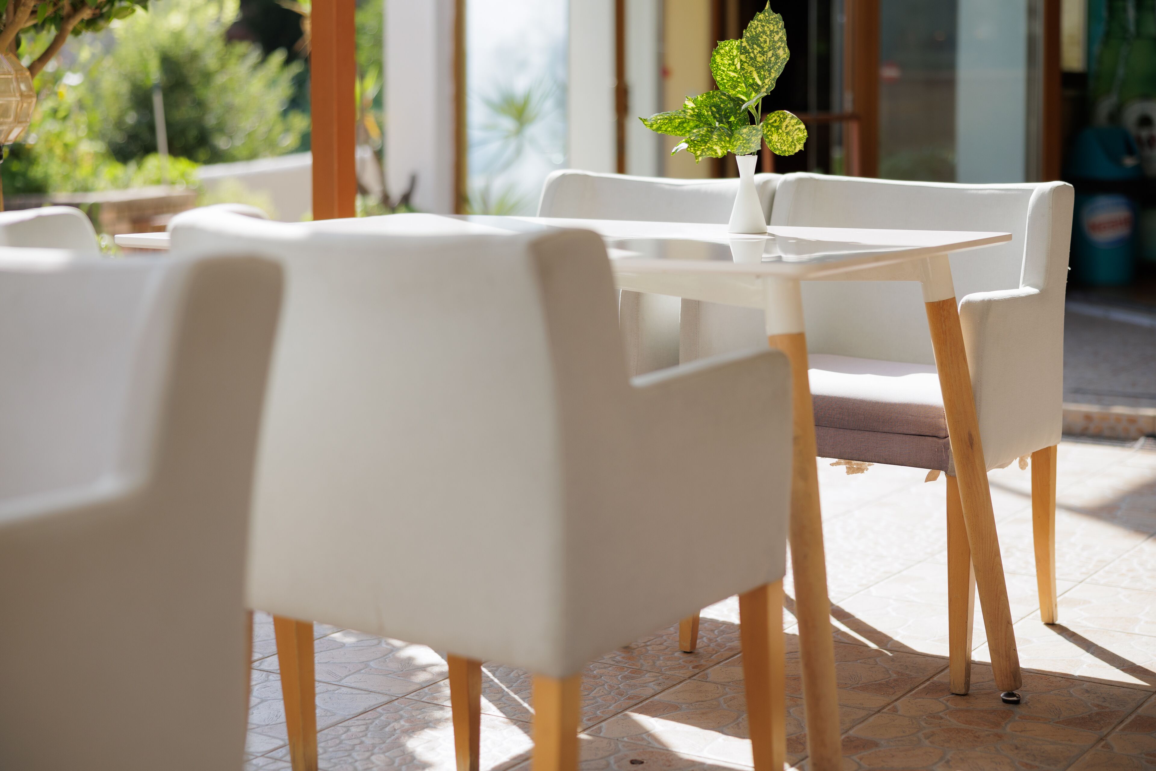 Un espace extérieur aménagé, propre et moderne, avec des chaises blanches et une table, agrémenté d’une plante en pot.