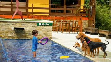 TV LCD 32 polegadas com canais a cabo, TV, lareira