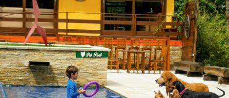 A pool area with a child and dogs, a building with a tiled roof, and outdoor seating.
