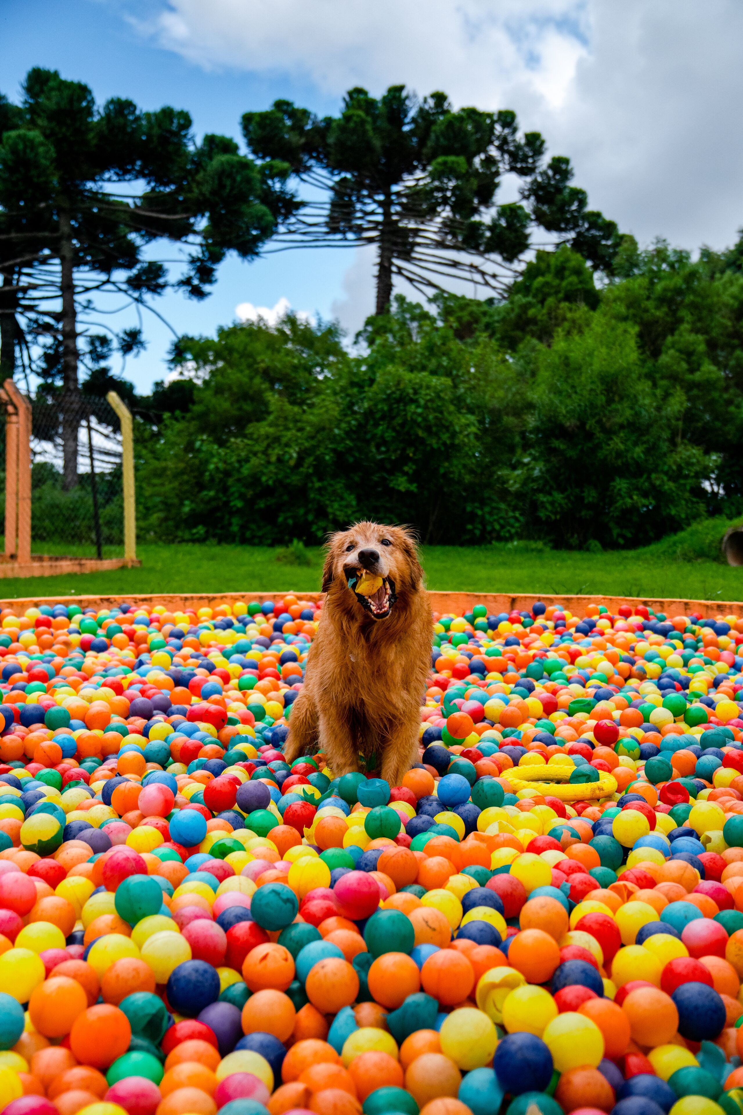 Photo - Surya-Pan Refúgio Hotel - Super Pet Friendly