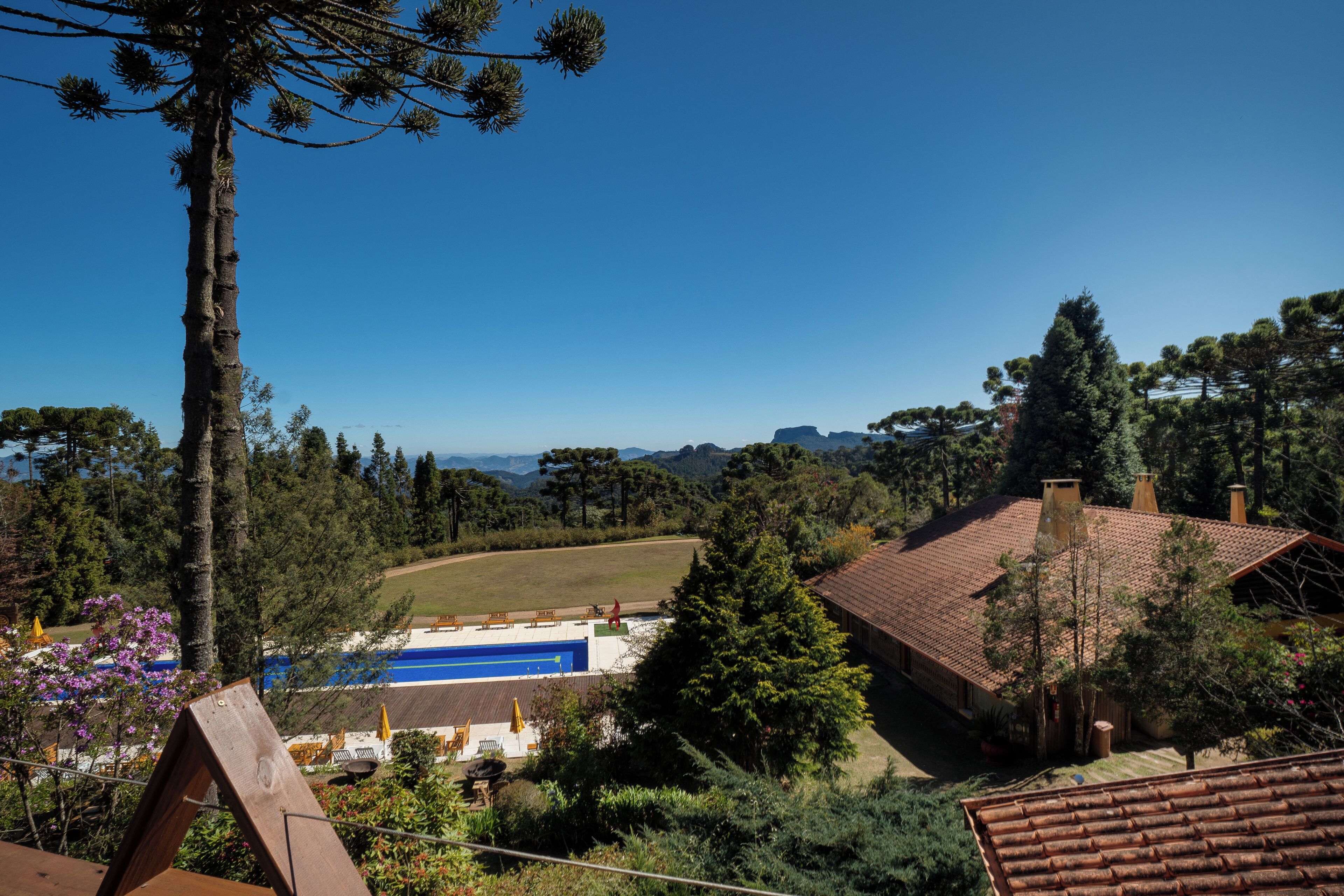A residential area with a swimming pool, a large tree, and a house with a tiled roof.