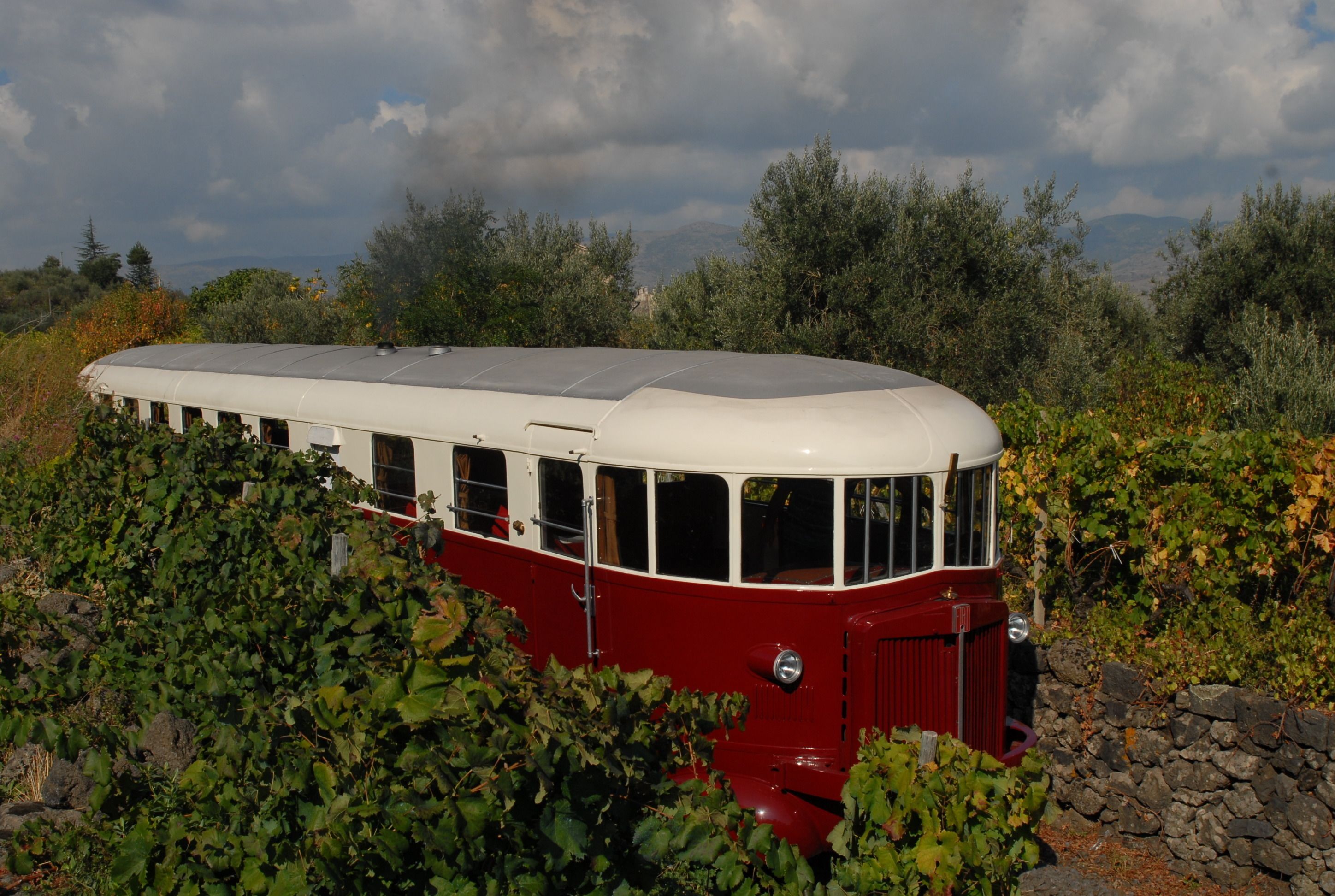 A vintage red and white train car parked in a vineyard.