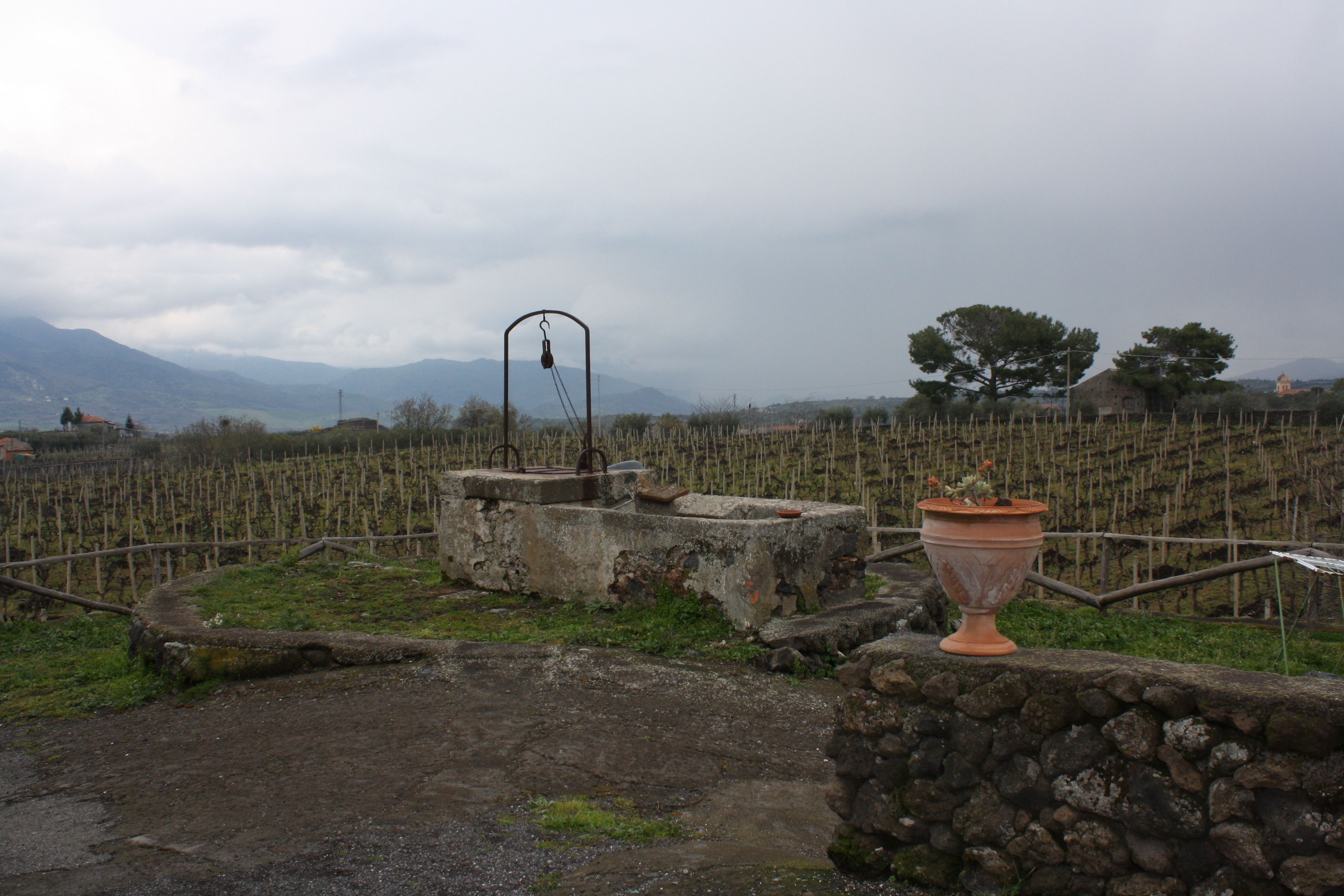 A vineyard with stone structures and a large terracotta pot.