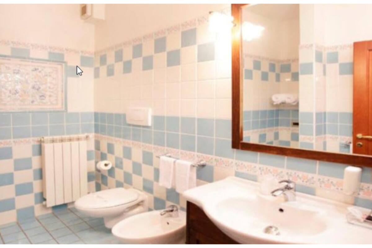 shower, free toiletries, hair dryer, bidet