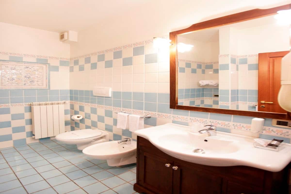 shower, free toiletries, hair dryer, bidet