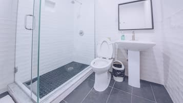 A bathroom with a glass shower enclosure, a white toilet, and a sink with a mirror above it.