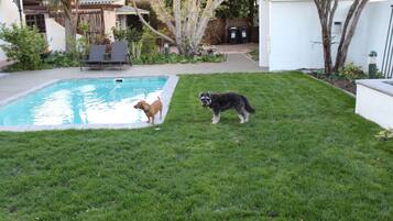 ์ผ์ธ ์์์ฅ