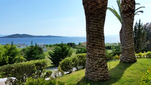 A coastal landscape with palm trees, a body of water, and buildings in the background.