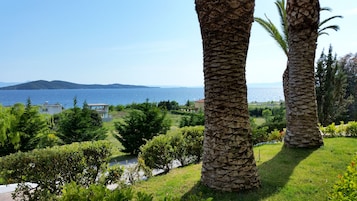 Jardín