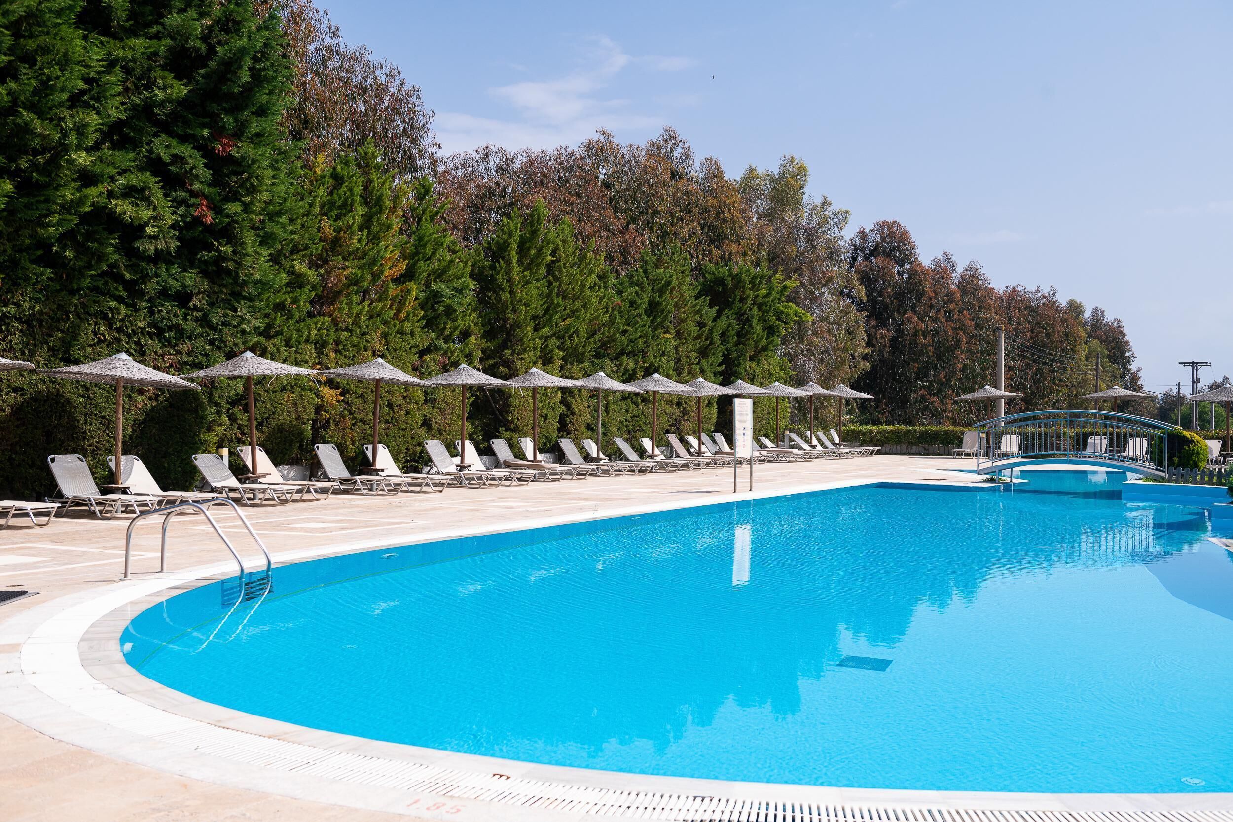 A swimming pool with lounge chairs and umbrellas, surrounded by trees.