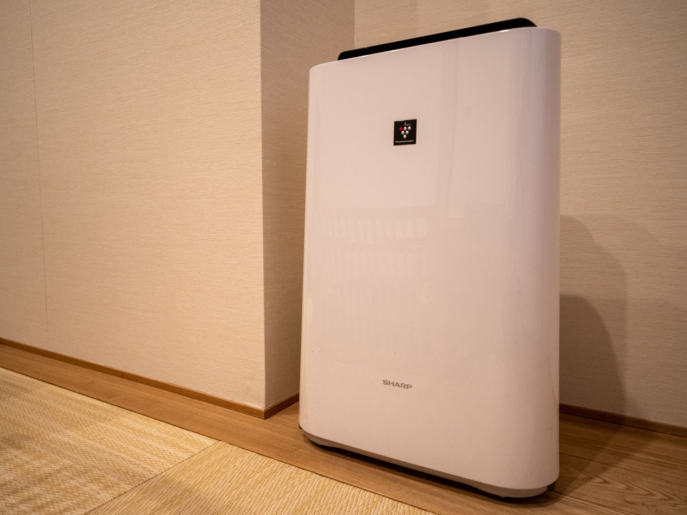 cleanliness standards