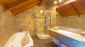 Combined shower/bathtub, free toiletries, hair dryer