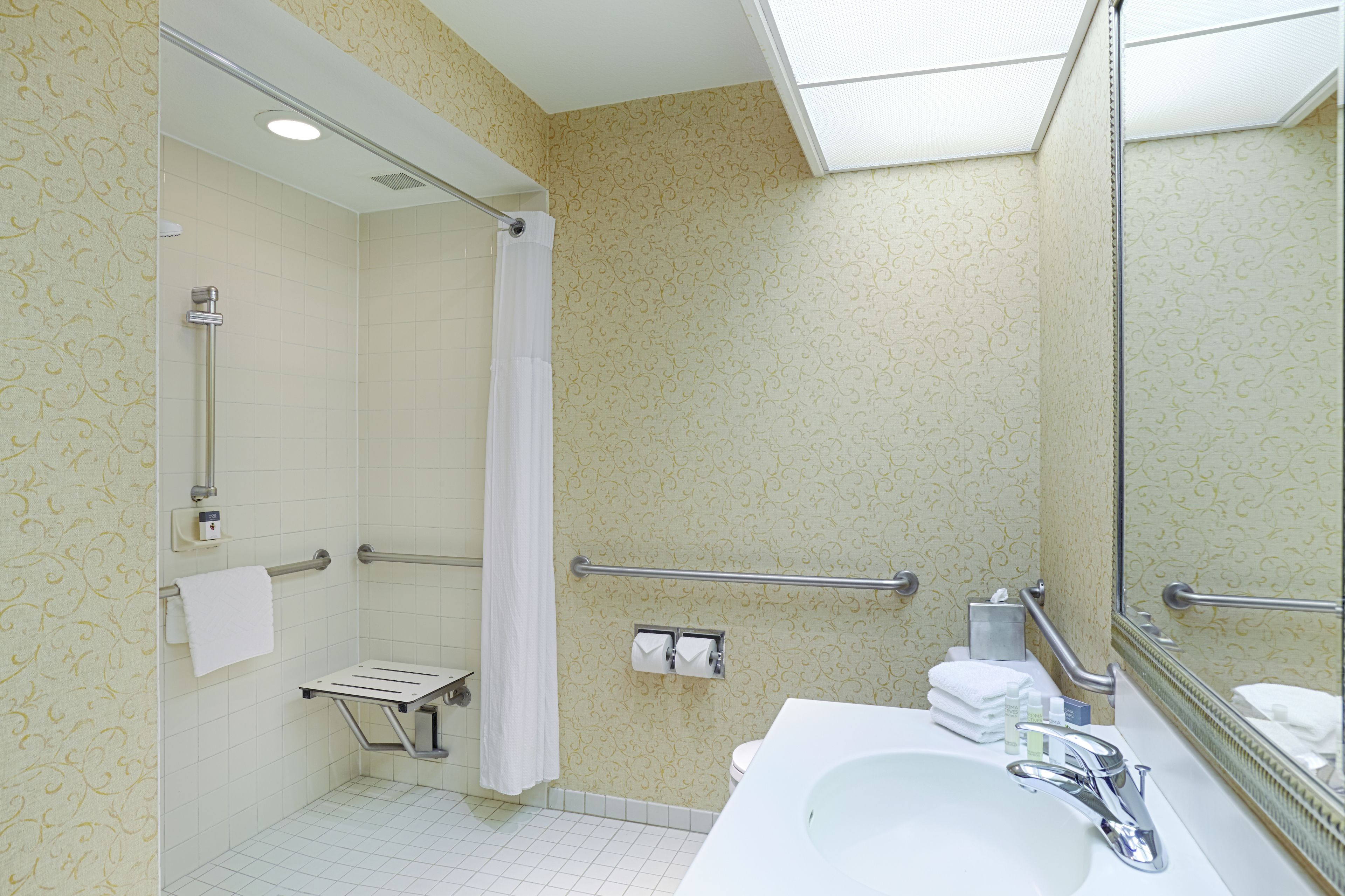 Une salle de bain équipée d’une douche, de barres d’appui, d’un lavabo et d’un miroir.
