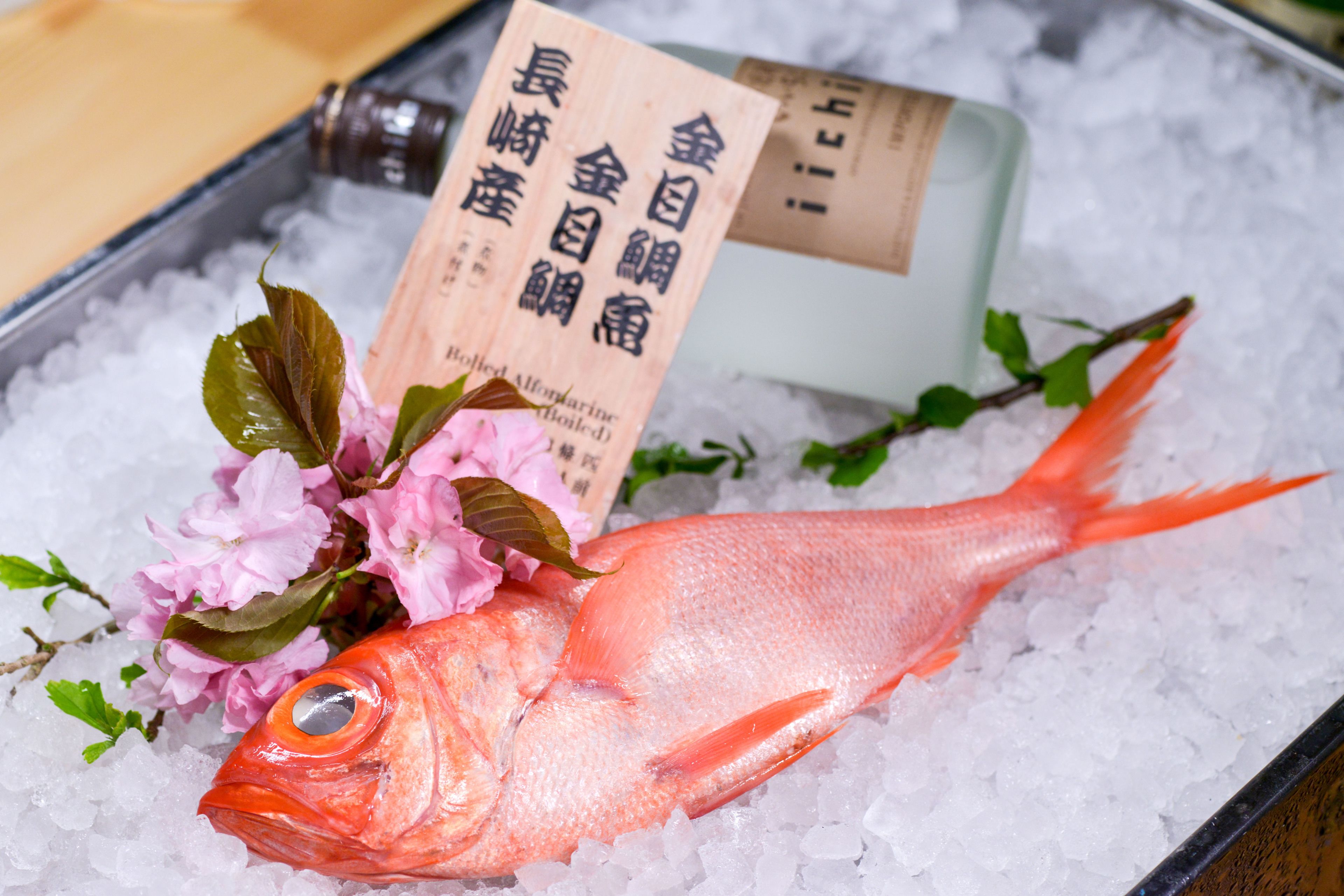 A fish on ice with a bottle and a card.