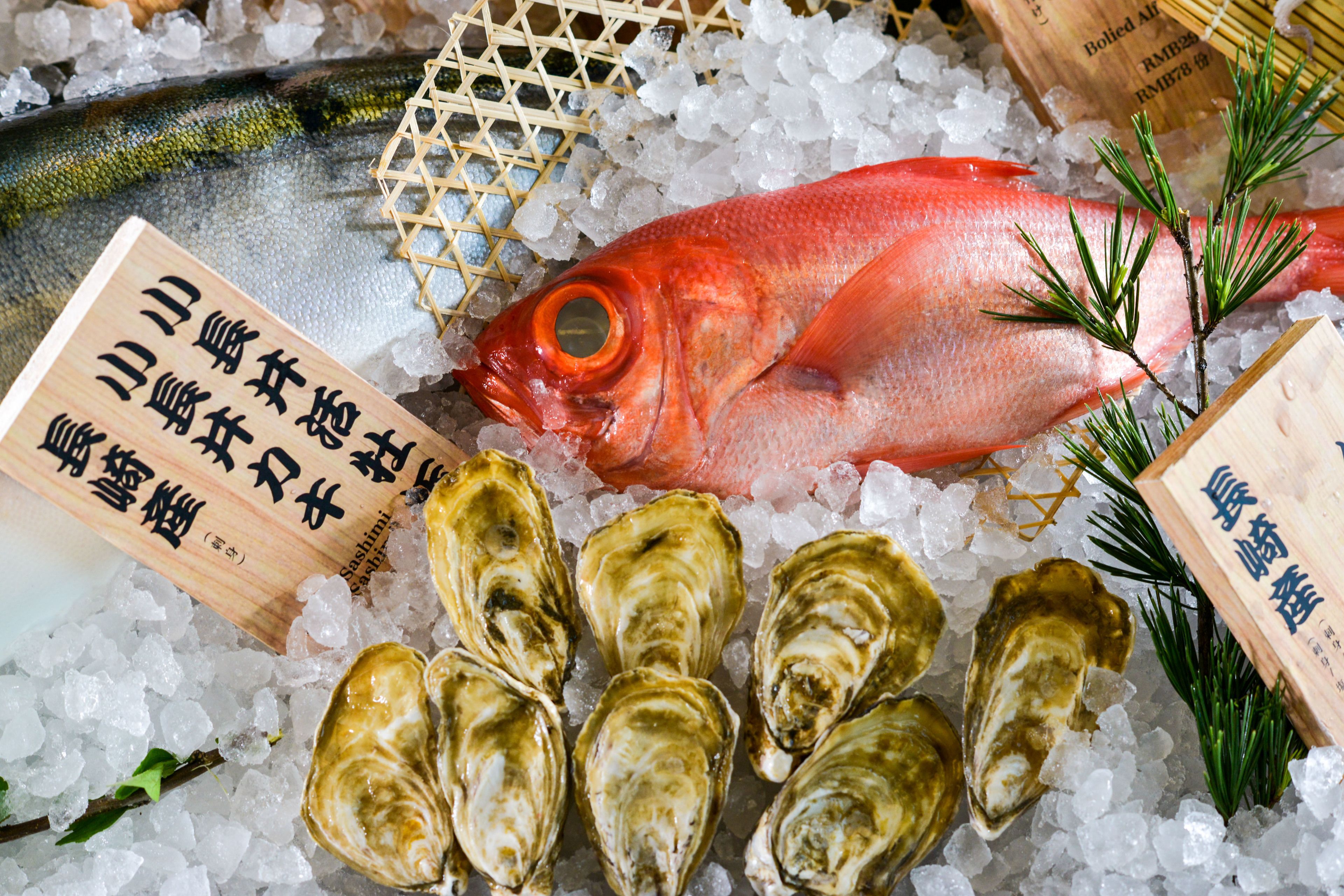 A display of seafood including a red fish, oysters, and a wooden sign with text.