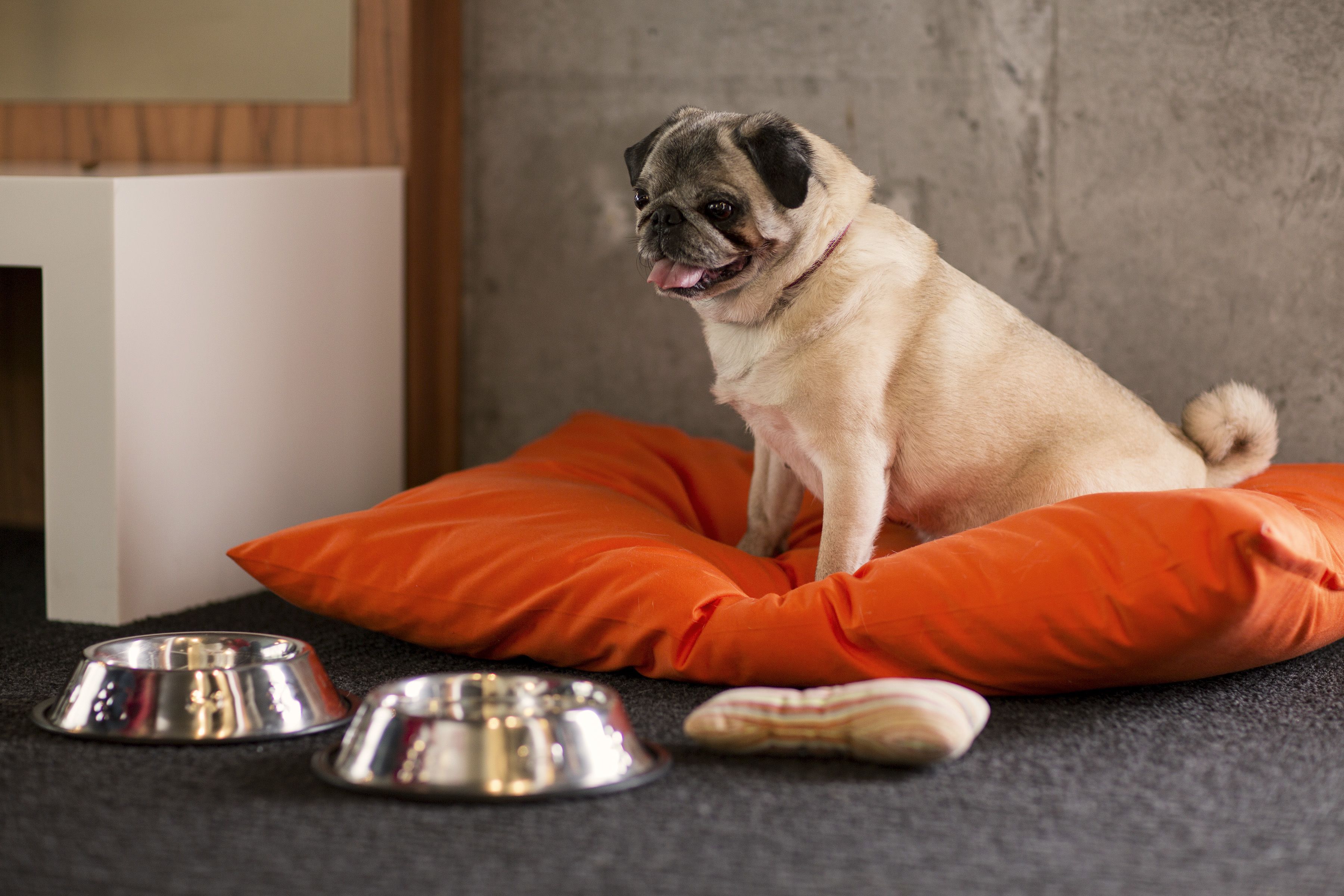 standard room | room amenity