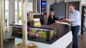 A reception desk with a glass aquarium, framed certificates, and a view of the outdoors. - Best Western Plus Hotel Restaurant Aduard (Aduard)