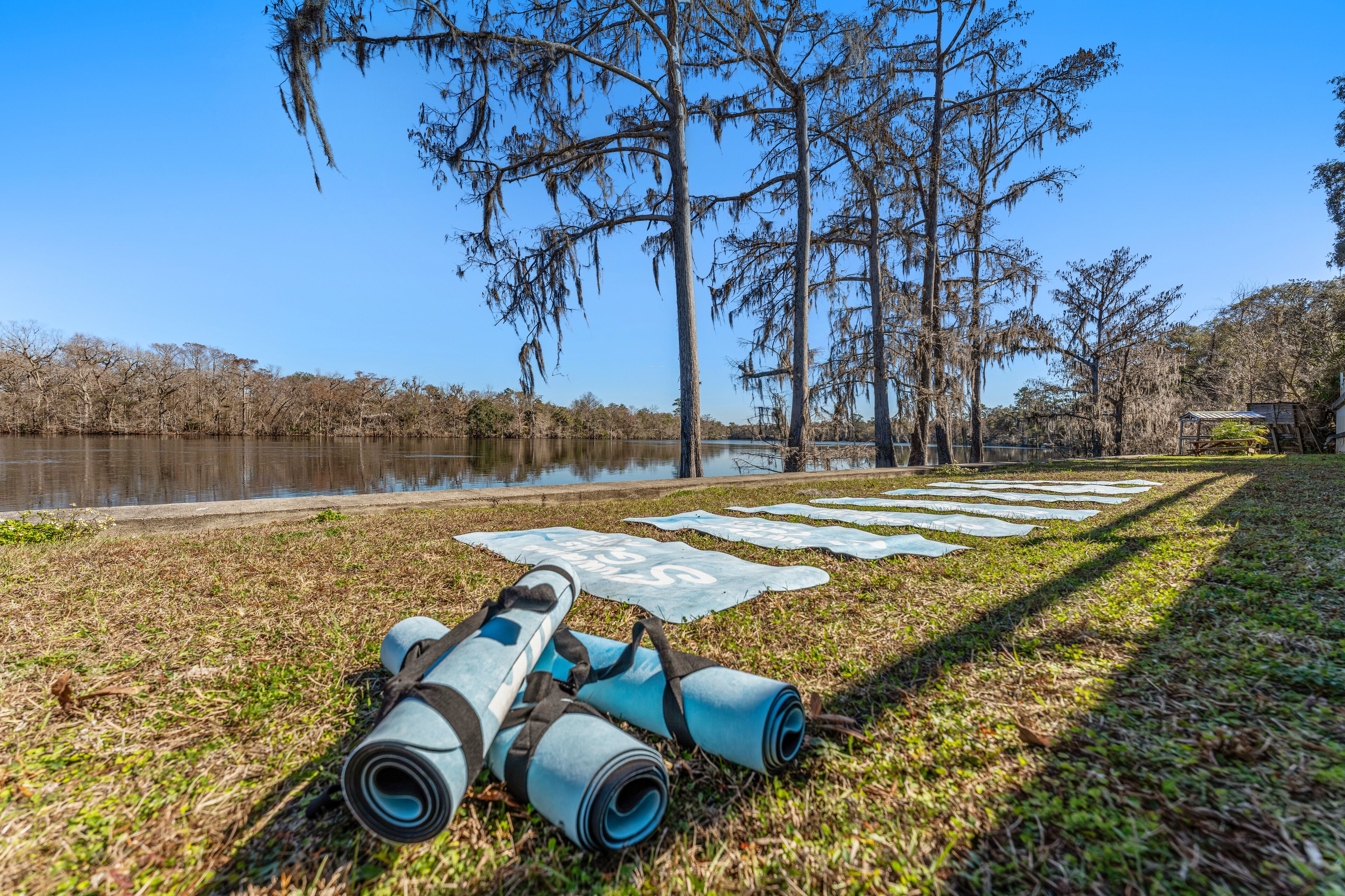 A grassy area with a body of water, trees, and a kayak.