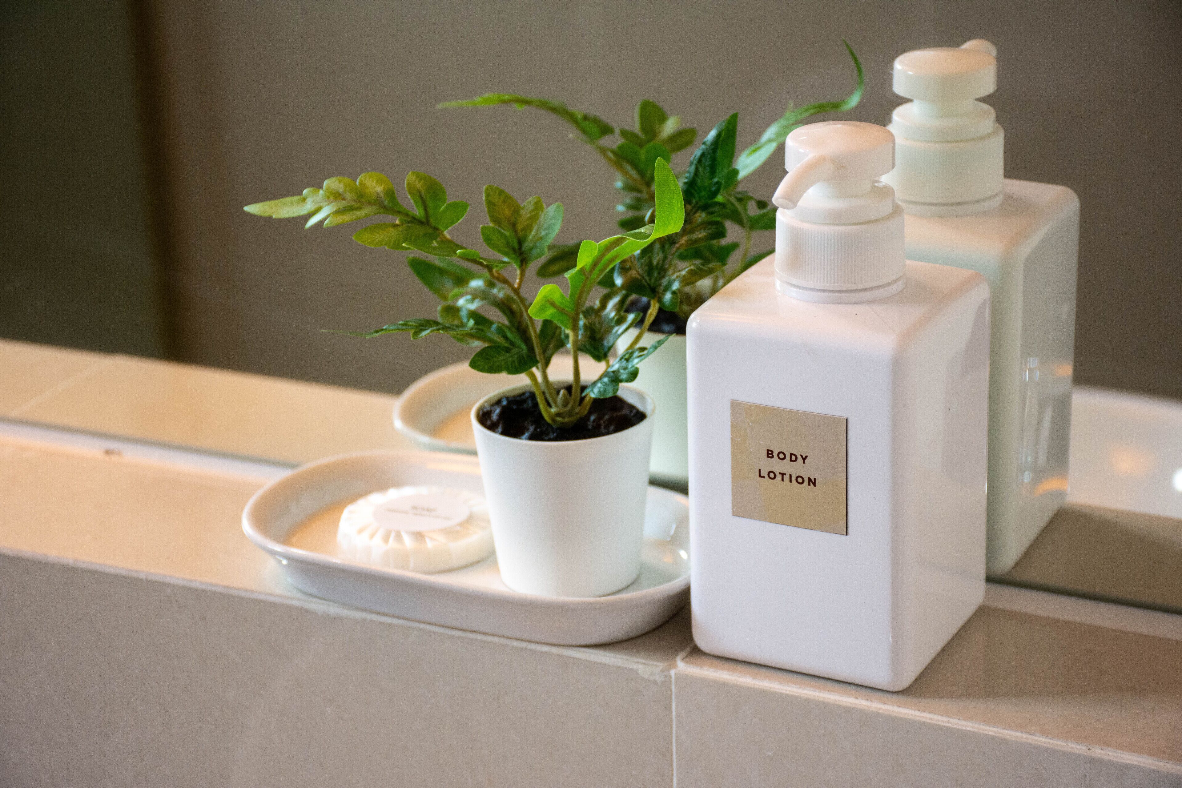 A bathroom counter with a potted plant, a soap dish, and a bottle of body lotion.