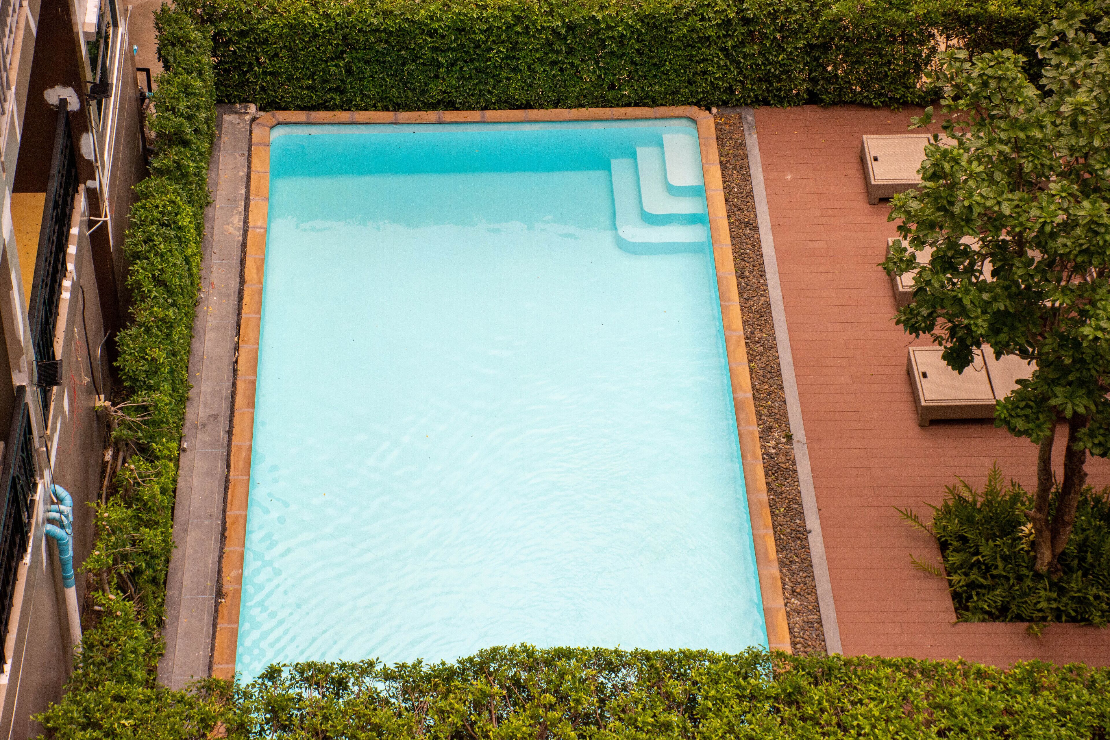 An aerial view of a rectangular swimming pool surrounded by a brick deck, with a hedge and a tree on one side.