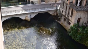 Un puente sobre un río, con un edificio a un lado.