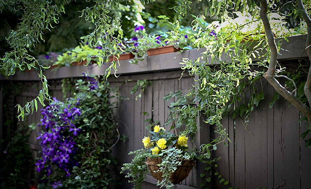 Morgan State House Inn by null