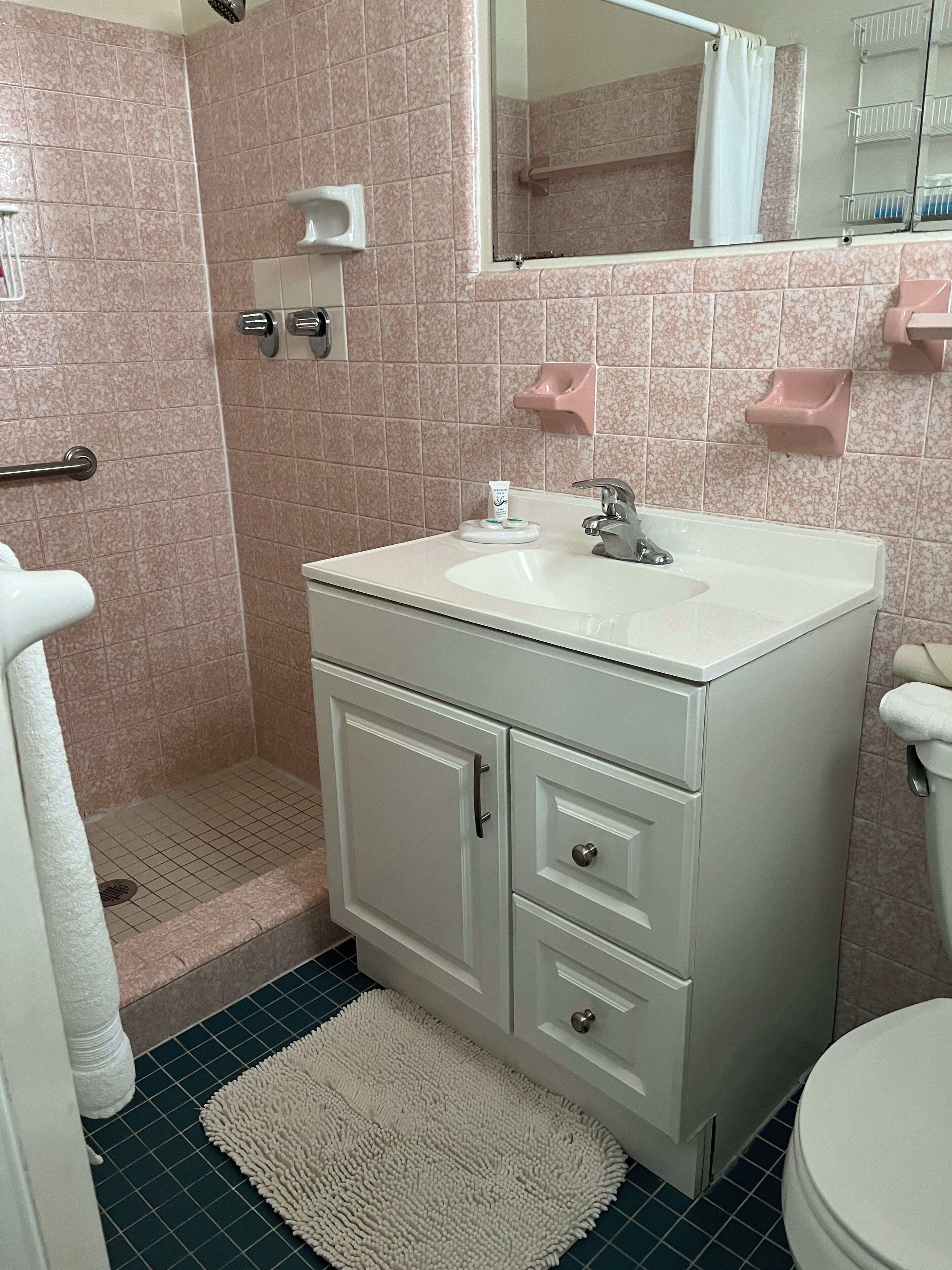 A bathroom with a white sink, a mirror, a shower, and a toilet.