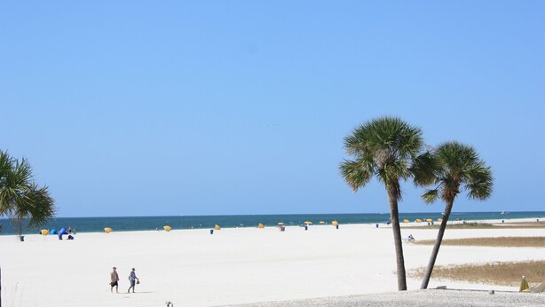 A beach with palm trees, umbrellas, and people. - iBeach Resort (Treasure Island)