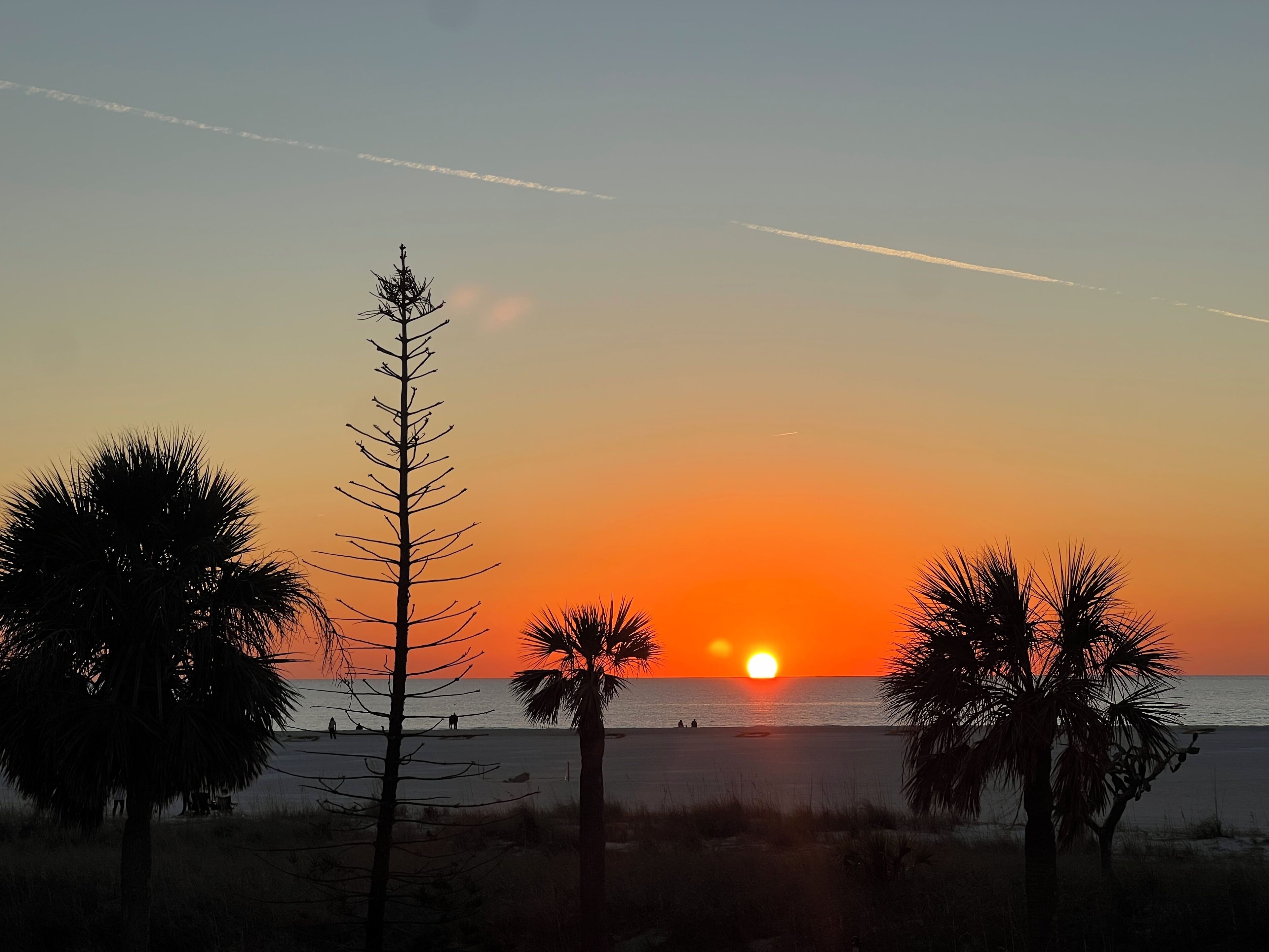 A beach scene with palm trees and a sunset.