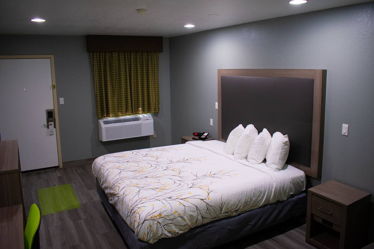 Quarto de hotel com cama grande, mesa de cabeceira com telefone, ar condicionado e tapete verde.