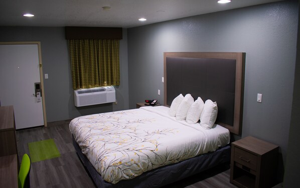 A hotel room with a large bed, a bedside table with a phone, an air conditioning unit, and a green rug.