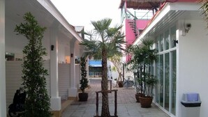 A covered outdoor corridor with potted plants, a central tree, and a building with large windows on the right. - Boutique Guesthouse by Clearhouse (Kamala)
