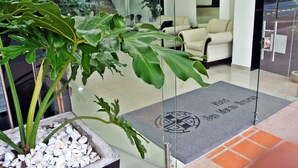 Zona de recepción de un hotel con mostrador, un sofá y una planta en maceta.
