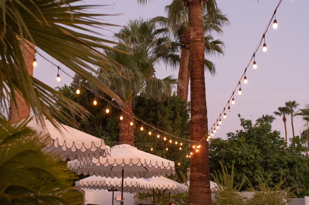 Dive Palm Springs