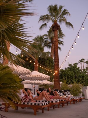 A poolside area with lounge chairs and umbrellas, palm trees, and string lights. - Dive Palm Springs Hotel - 21 & Over (Palm Springs)