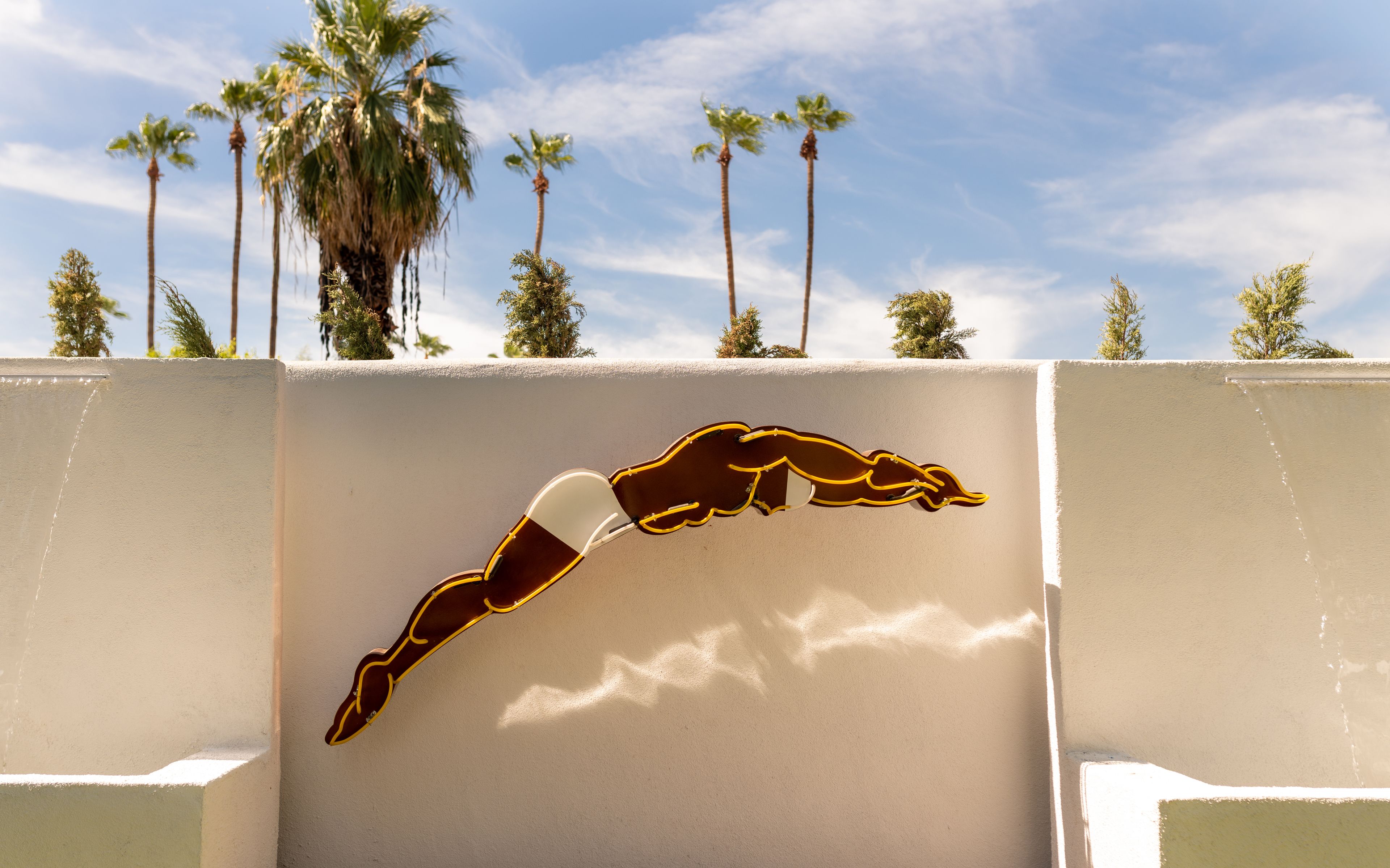 Foto - Dive Palm Springs