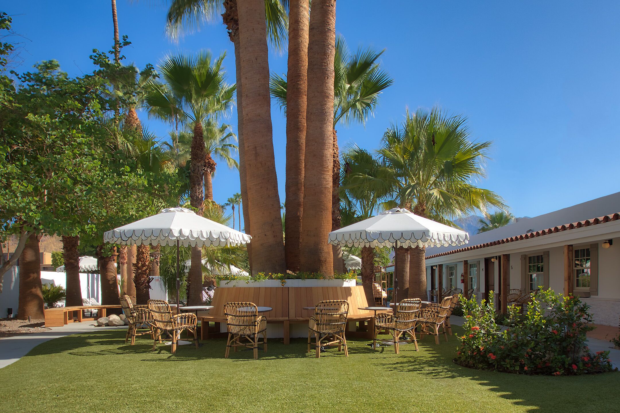 Foto - Dive Palm Springs