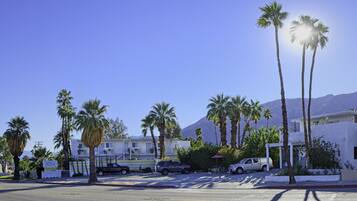 A street view with palm trees, parked vehicles, and a building with balconies.