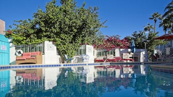 Uma área de piscina com espreguiçadeiras e uma árvore.