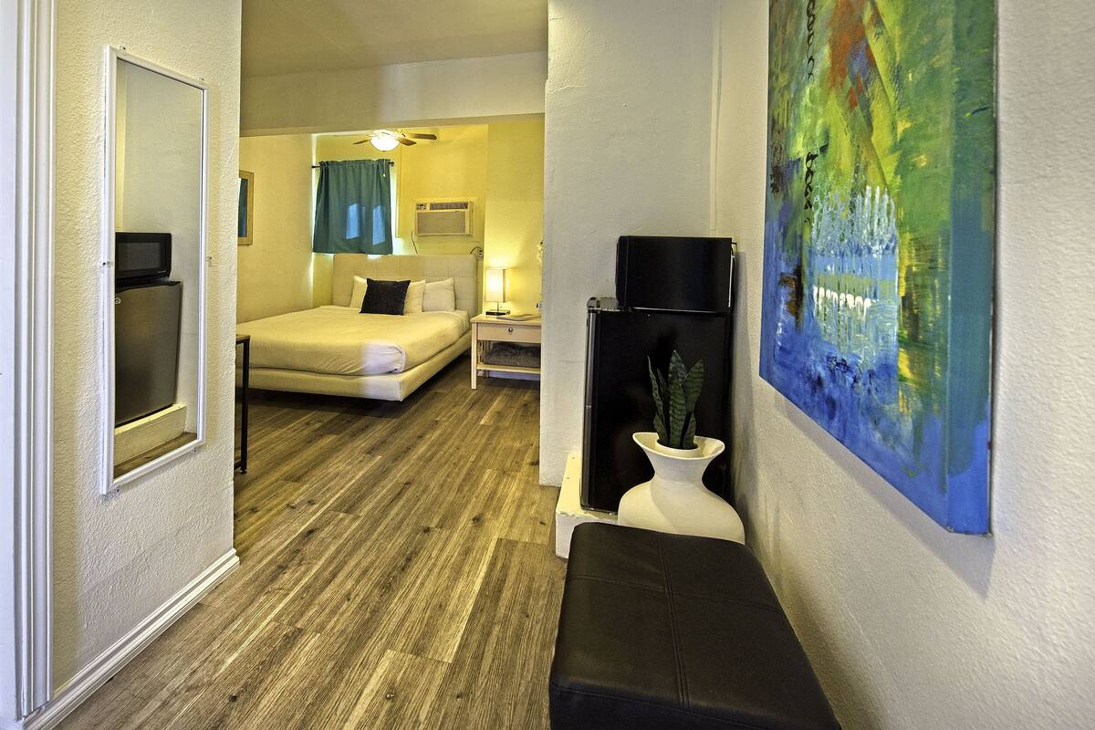 Une chambre d’hôtel avec un lit, un bureau, une télévision, un tableau et une plante.
