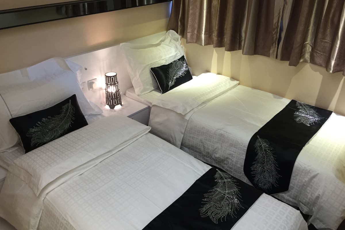 Habitación clásica con 2 camas individuales, 2 camas individuales | Wifi gratis