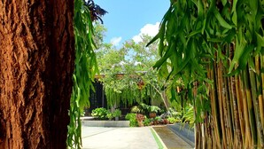 A pathway flanked by lush greenery and a large tree trunk, leading to a building with a tiled roof. - Amara Resort Hua Hin (Hua Hin)