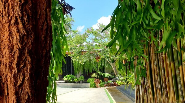 A pathway flanked by lush greenery and a large tree trunk, leading to a building with a tiled roof.
