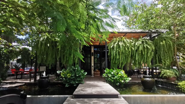 A serene outdoor area with a wooden deck leading to a building entrance, surrounded by lush greenery and a small pond. - Amara Resort Hua Hin (Hua Hin)