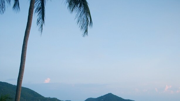 An infinity pool with a view of the ocean and palm trees. - Monkey Flower Villas (Koh Tao)