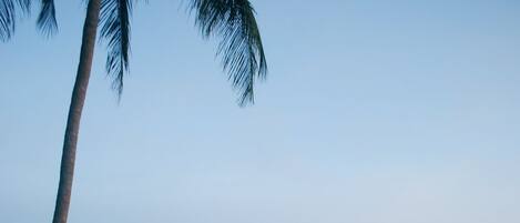 Vista da propriedade