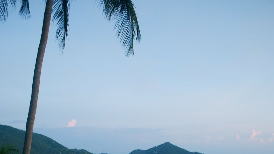 Monkey Flower Villas