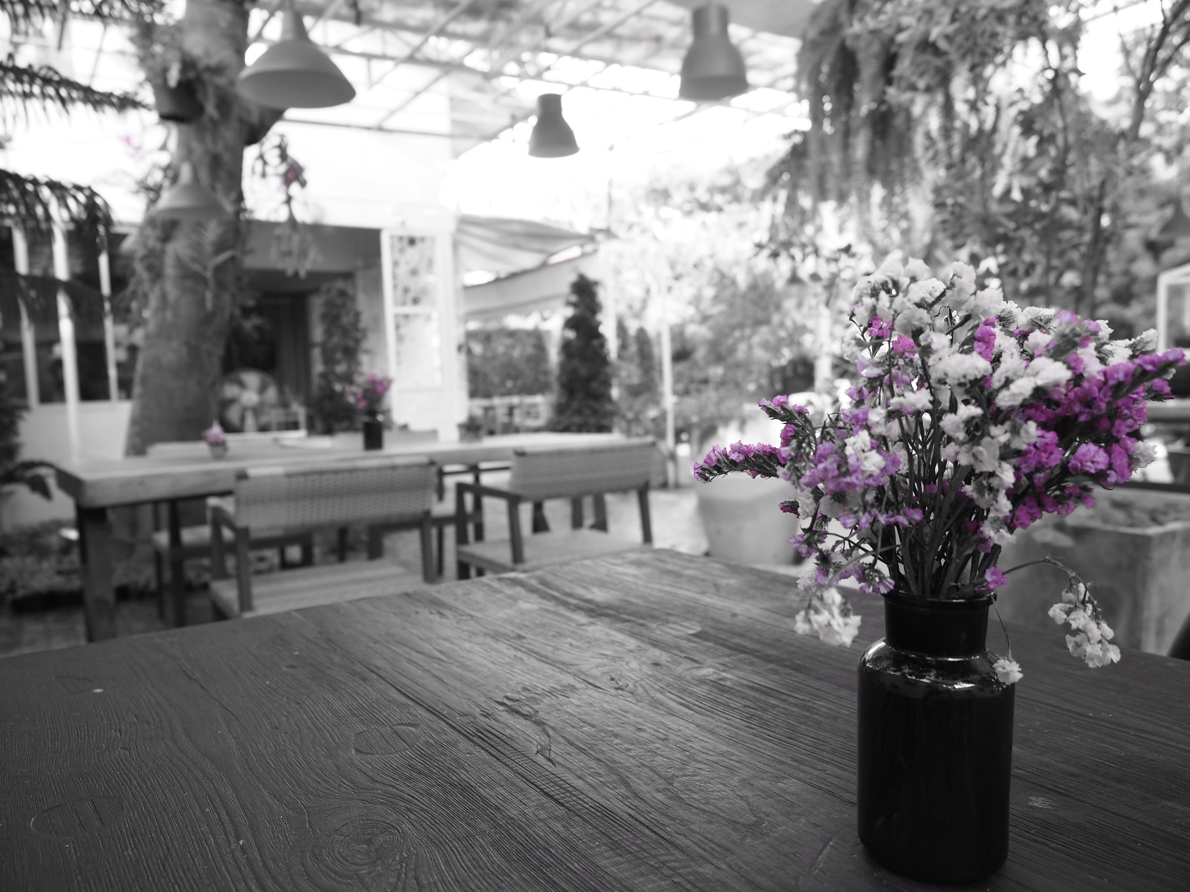 Foto - Costa Village Pool Villa