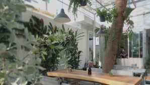 An outdoor dining area with a wooden table and chairs, surrounded by potted plants and hanging greenery. - Costa Village Pool Villa (Pattaya)